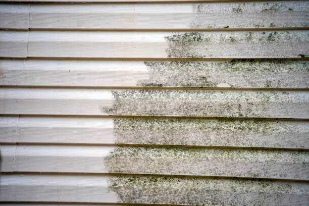 Best Siding for New Construction  in Wood Ridge, NJ