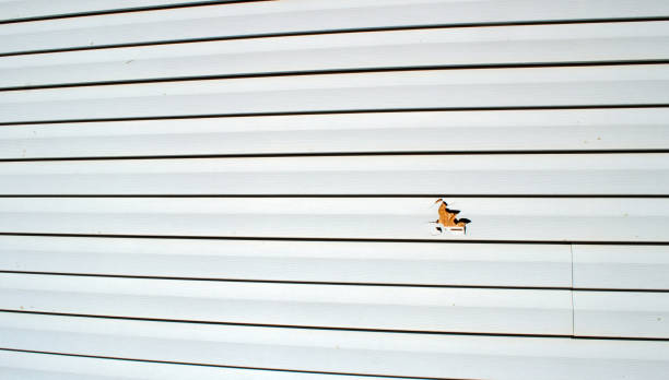 Best Stucco Siding  in Wood Ridge, NJ